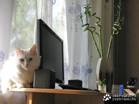 ��������� ���������� :)