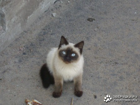 �������� ������ :)