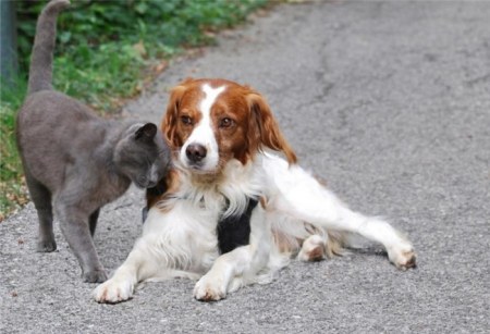 �������� (20 ���������� ����)