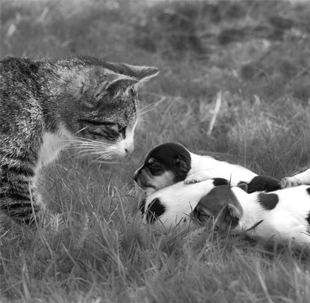 �������� (20 ���������� ����)