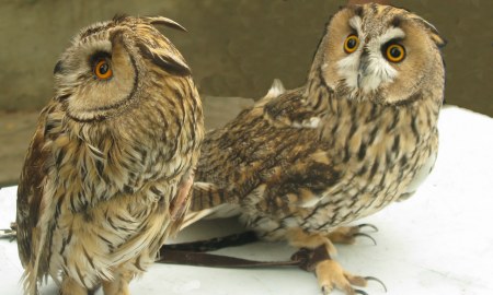 ������� ���� ;)