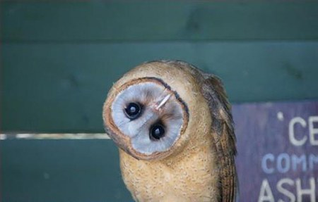 ������ ;)