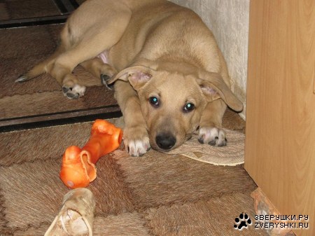 ����� ����� - ��� ����� ����������... � ����� �������� :)