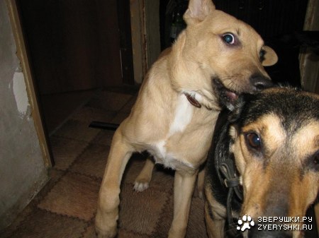 ����� ����� - ��� ����� ����������... � ����� �������� :)