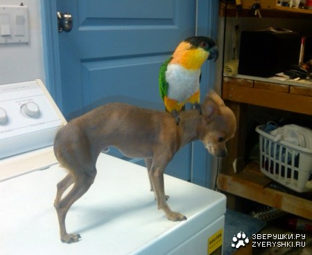 ��� �� ��� :)