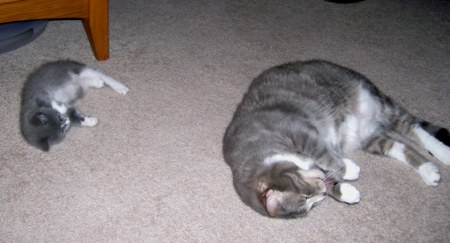 ���������� :)