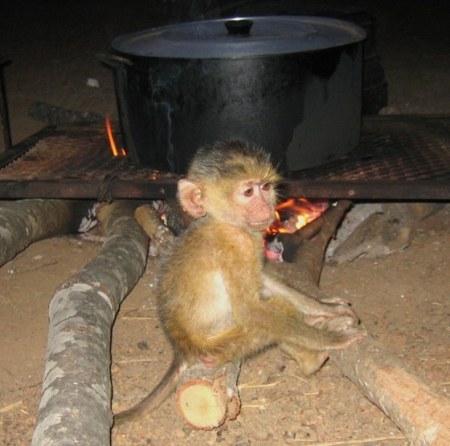 ������� ��������� (6 �������� ����)