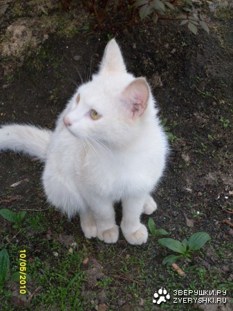 ������ :)