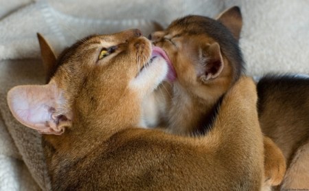 ��������� :)