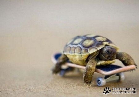 ������ ��������� ;)