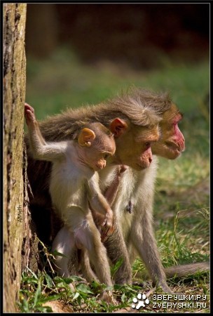 �������� ��� ���� :)