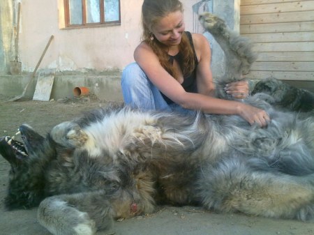 ������������! �� - ���������