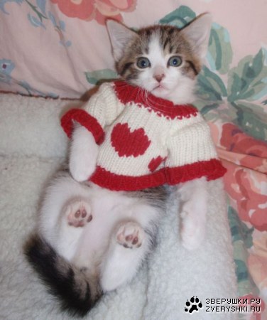 ��������� :)