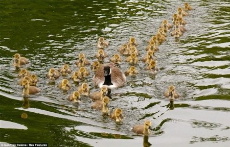 ���� �� ����� :)