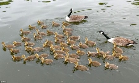 ���� �� ����� :)