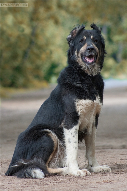 ���������� ������� � ������� ����!