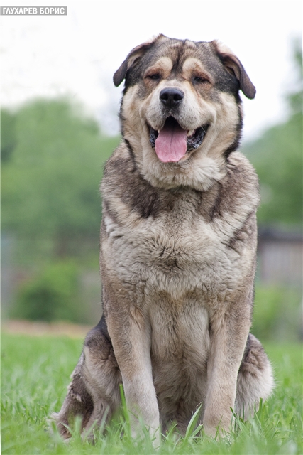 ���������� ������� � ������� ����!