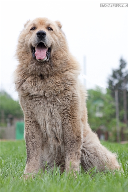 ���������� ������� � ������� ����!