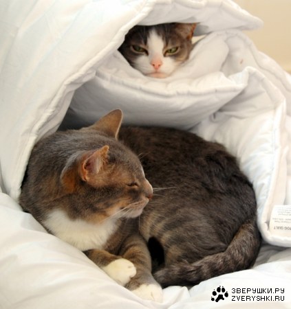 ���� �� ���! :)