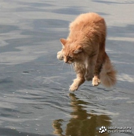 ����� �� ���� :)