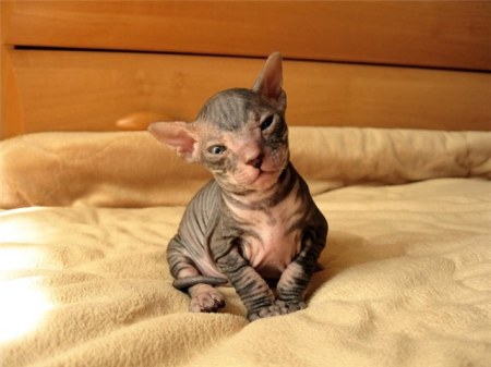 ������-��������� (6 ����)