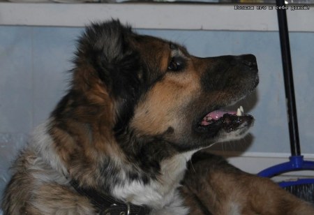 ���������� ������� � ������� ����!