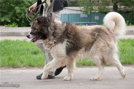 ���������� ������� � ������� ����!