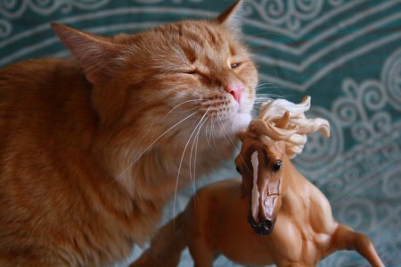 ��� ������!