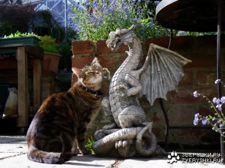 ������ ������� :)