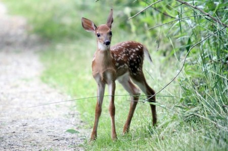 �������� :)