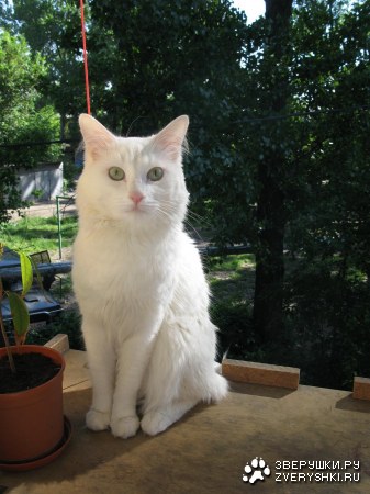 �������� �� ������� ���������� :)