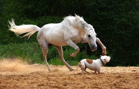 ��� ����?