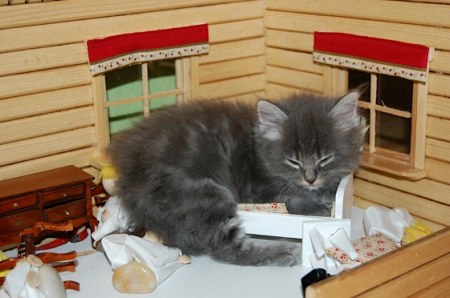 ��������� ����� ��� ���������� ������ :)