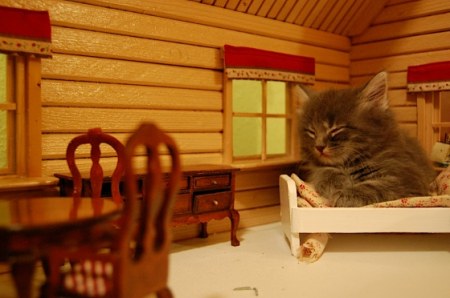 ��������� ����� ��� ���������� ������ :)