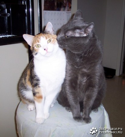 �������� ��� ���! :)