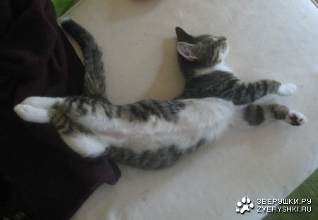 ����������� ����� :)