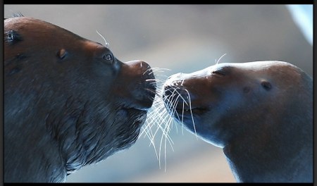 �������� �� ����� ���� (5 ����)