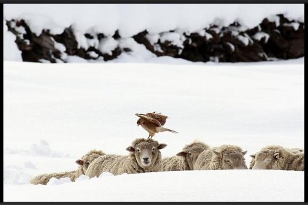 �������� �� ����� ���� (5 ����)