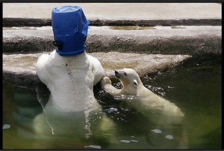 �������� �� ����� ���� (5 ����)