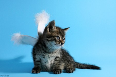 ��������� ;)