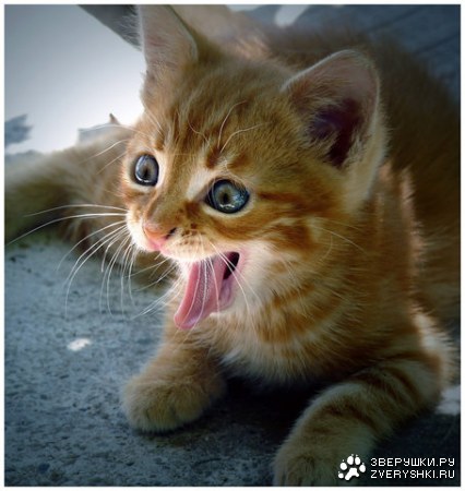 �� ����� ����� ����! :)