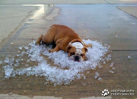 �������� �� ���� :)