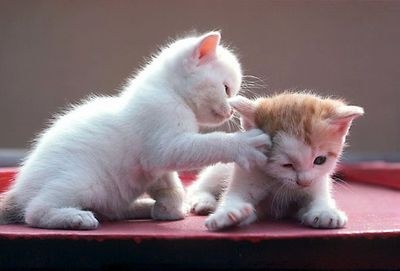 ��������� ��������? :)