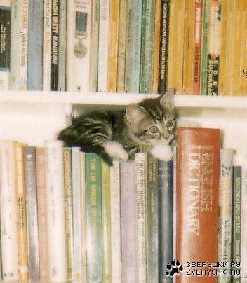 ���-������ ;)