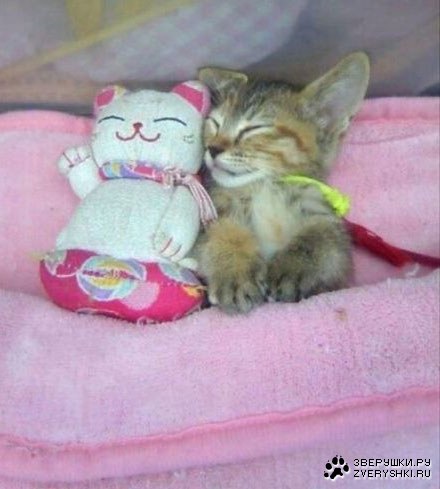 ����� �� ������? :)