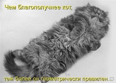 ��������� ���� (10 ����������)