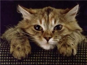 ����� ��������� ������� �������!