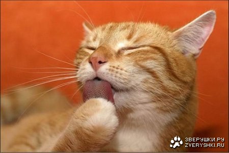 ����� ��������� ������� �������!