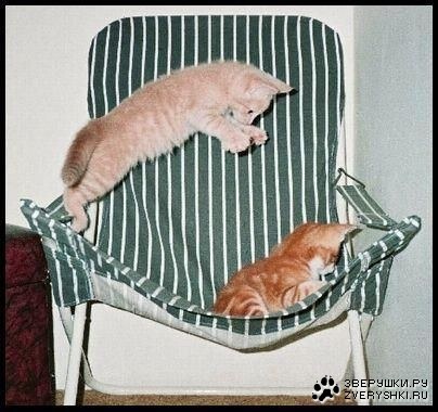 ����� ��������� ������� �������!