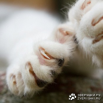 ����� ��������� ������� �������!